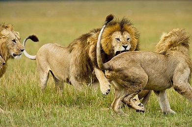 动作类肉鸽游戏《失落城堡2》计划于2024年7月25日推出抢先体验版