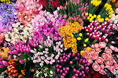 黑色哥特幻想式ARPG《黑色巫术》9月8日发售